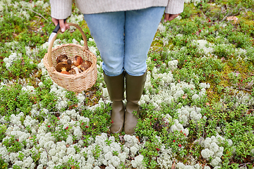 Image showing woman with basket picking mushrooms in forest