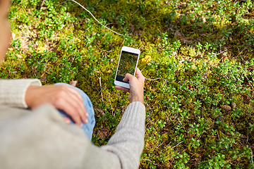 Image showing hand using smartphone to identify mushrooms