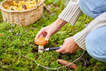 Image showing young woman picking mushrooms in autumn forest