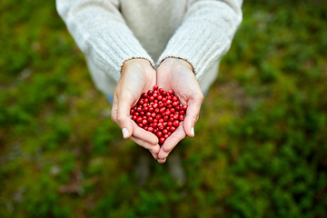 Image showing close up of young woman holding berries in hands