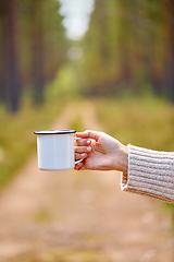 Image showing hand of woman with white tea mug in forest