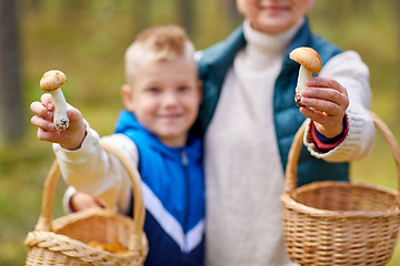 Image showing grandmother and grandson with mushrooms in forest