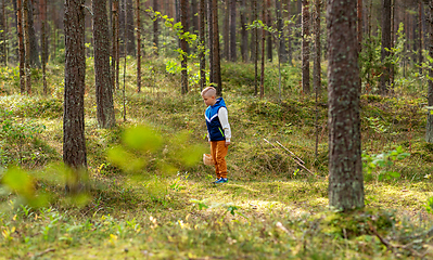 Image showing little boy with basket picking mushrooms in forest