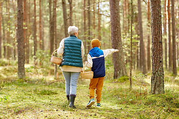 Image showing grandmother and grandson with baskets in forest