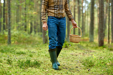 Image showing man with basket picking mushrooms in forest