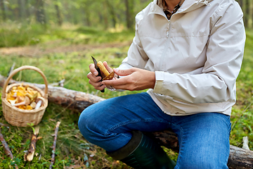 Image showing man with basket picking mushrooms in forest