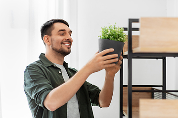 Image showing man decorating home with flower or houseplant