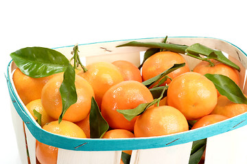 Image showing Tangerines with Leaves