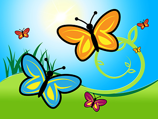 Image showing Butterfly In Summer Indicates Warmth Warm And Summertime