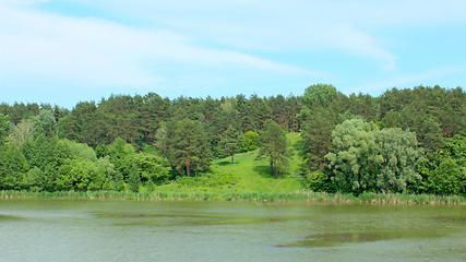 Image showing lake in the forest