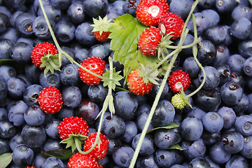 Image showing bilberries and wild strawberries