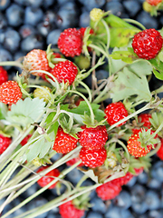Image showing fresh wild strawberries and bilberries
