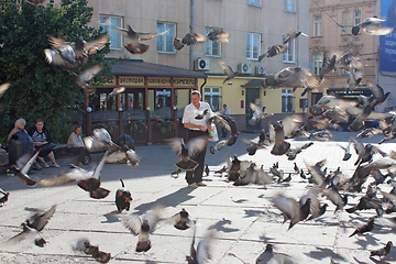 Image showing man feeds pigeons on the city road in Lviv