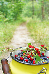 Image showing crop of bilberries and wild strawberries on the forest path