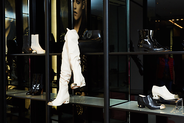 Image showing Women luxury shoes