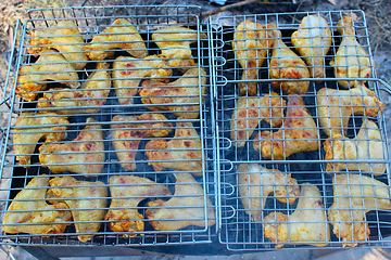 Image showing barbecue from chicken 's meat