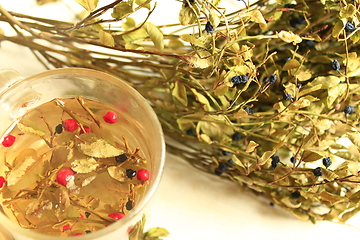 Image showing tea from leaves and berries of bilberry and schisandra