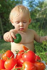 Image showing baby with cucumber on the heap of ripe tomatoes