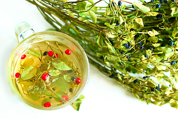 Image showing tea from leaves and berries of bilberry and schisandra