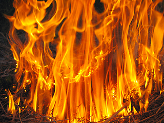 Image showing flame in the forast