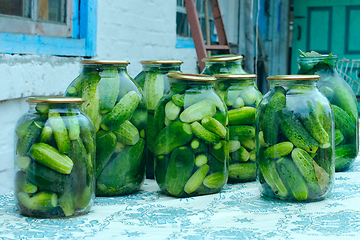 Image showing Cucumbers in the jars prepared for preservation