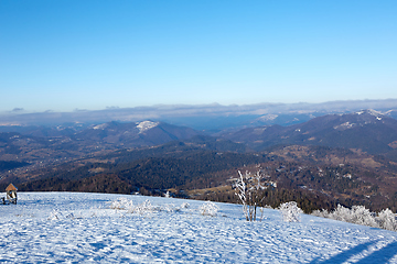 Image showing Winter panorama of mountains on a sunny day. Carpathians, Ukraine