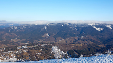 Image showing Winter panorama of mountains on a sunny day. Carpathians, Ukraine