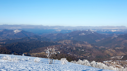Image showing Winter panorama of mountains on a sunny day. Carpathians, Ukraine