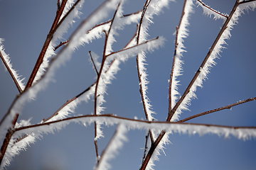 Image showing branches covered in snow and ice crystals