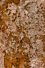 Image showing rusty sheet metal background