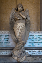 Image showing Angel in Genoa Cemetery (1882)