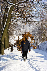 Image showing Serbian Christmas tradition collecting oak leaves to light fire