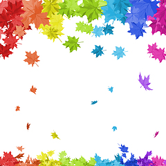 Image showing Rainbow Maple Leaves