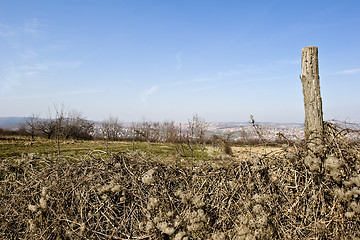 Image showing ploughed field in spring