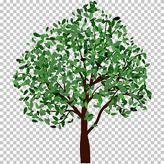 Image showing Summer tree