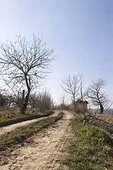 Image showing traditional mud house in field