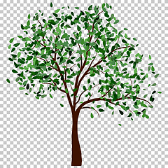 Image showing Summer tree