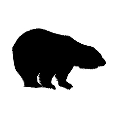 Image showing Polar Bear Silhouette