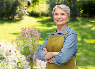 Image showing portrait of smiling senior woman in garden apron