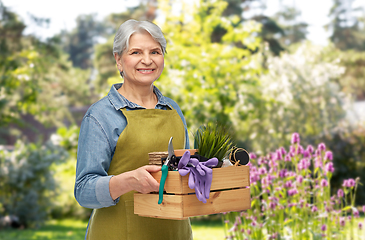 Image showing smiling senior woman with garden tools in box