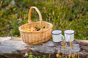 Image showing mushrooms in basket and cups of tea in forest