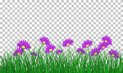 Image showing Meadow color