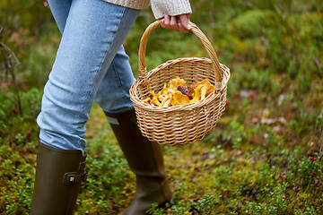 Image showing woman with basket picking mushrooms in forest