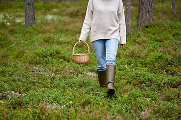 Image showing woman with basket picking mushrooms in forest