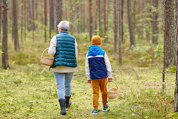 Image showing grandmother and grandson with baskets in forest