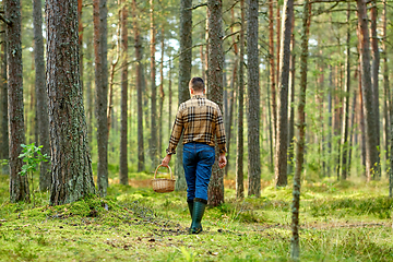 Image showing man with basket picking mushrooms in forest