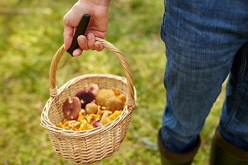 Image showing man with basket picking mushrooms in forest