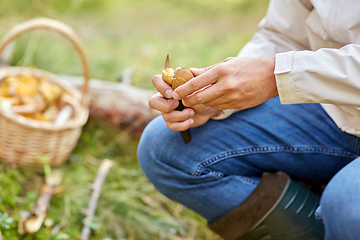 Image showing man with basket picking mushrooms in forest