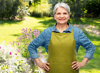 Image showing portrait of smiling senior woman in garden apron