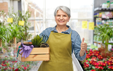 Image showing senior woman with garden tools showing thumbs up